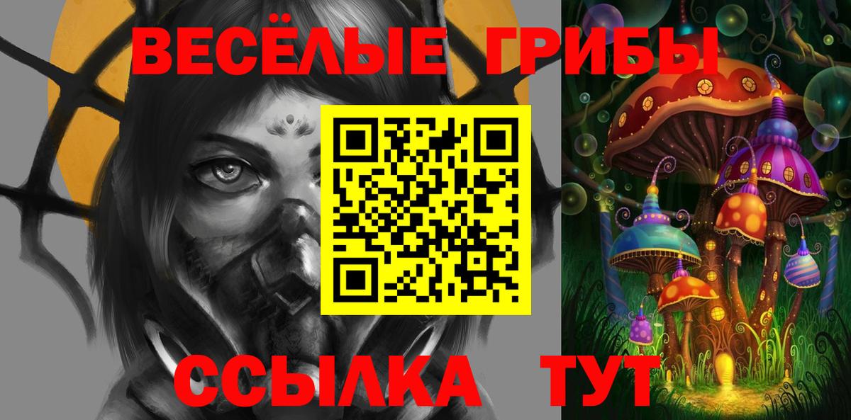 Коркино  Псилоцибиновые грибы MAGIC MUSHROOMS  Вход с VPN 