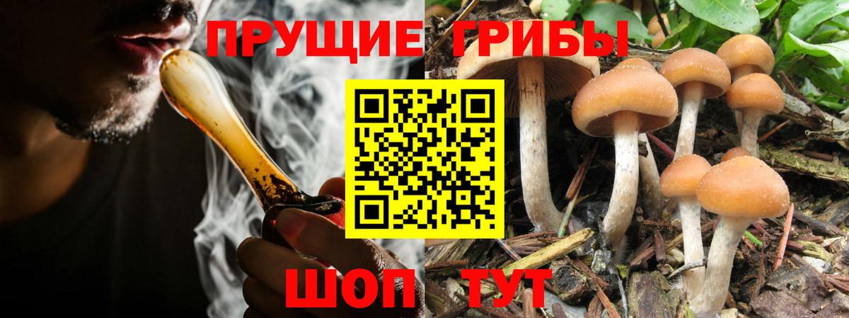 Галлюциногенные грибы мухоморы Коркино
